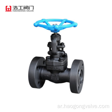 A105 Globe Valve PN160 DN25